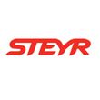 steyr logo - دیاگ راهسازی و کشاورزی اشتایر Steyr